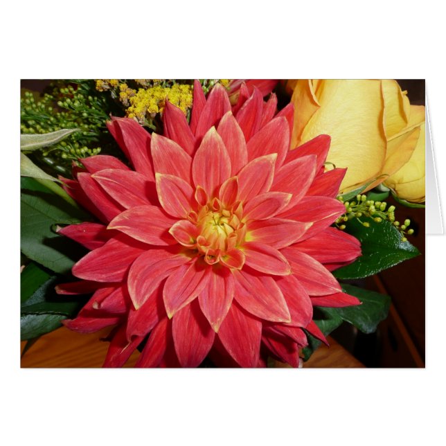 Dahlia (Anverso (Horizontal))