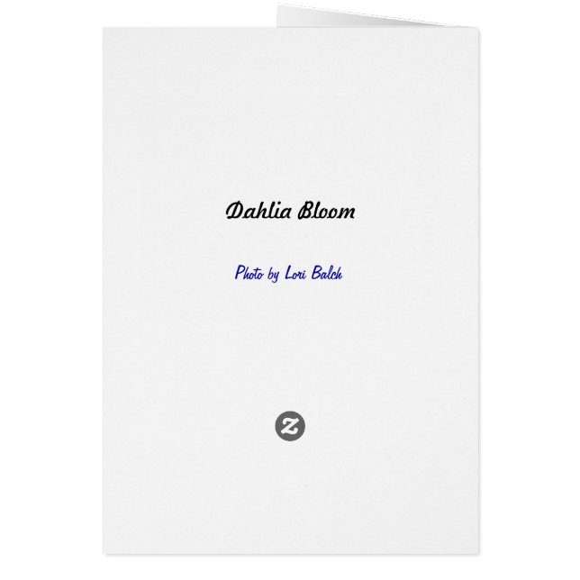 Dahlia Bloom (Atrás)