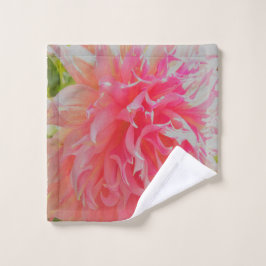 Dahlia decorativa elegante de coral y rosa