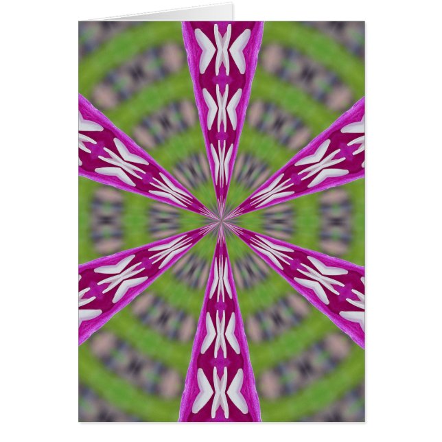 Dahlia Kaliediscope (Frente)