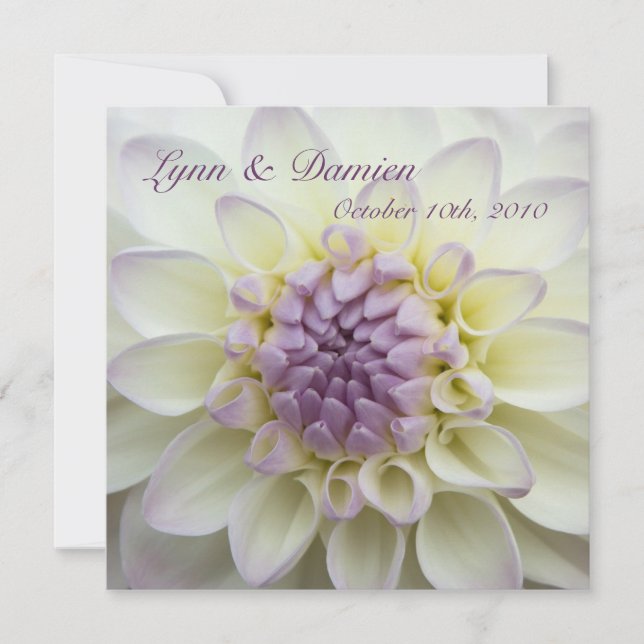 Dahlia púrpura ・ Invitación a matrimonio (Anverso)