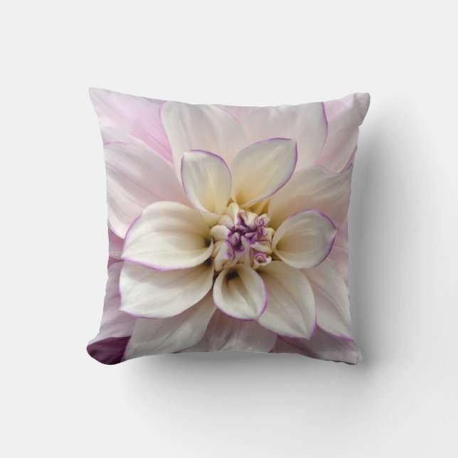 Dahlia púrpura y blanca tirada almohada (Anverso)