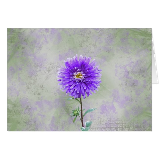 Dahlia simple (Anverso (Horizontal))