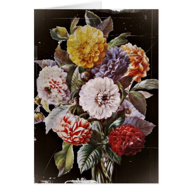 Dahlias Antique Bouquet (Frente)