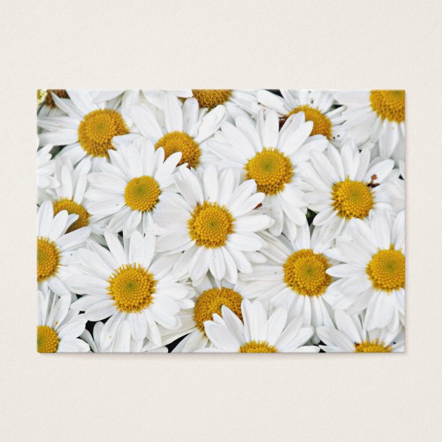 Daisies (Frente)