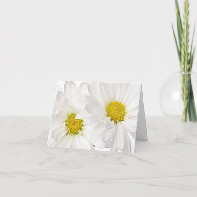 Daisies blancos - Plantilla personalizada de flore (Anverso)