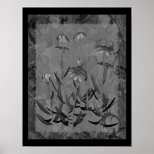 Daisies Con Marco Blanco Y Negro, Arte Floral