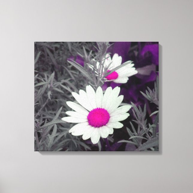 Daisies (con rosado) Lienzo envuelto (Anverso)