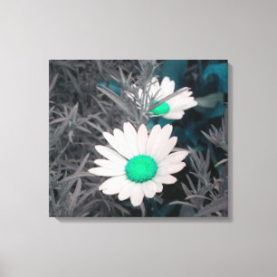 Daisies (con verde) Lienzo envuelto