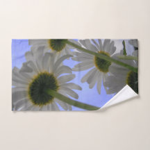 Daisies Days