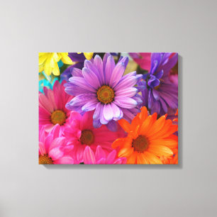 Daisies de color de verano impresión de lienzo est