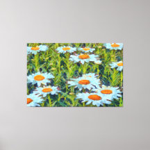 Daisies En Un Jardín Florido Arte Floral