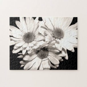 Daisies Puzzle