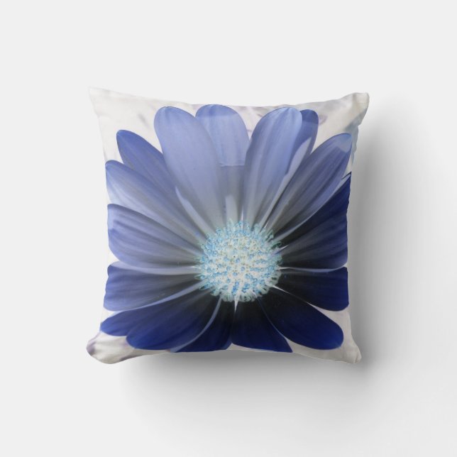 Daisy africano con la almohada azul brillante (Anverso)