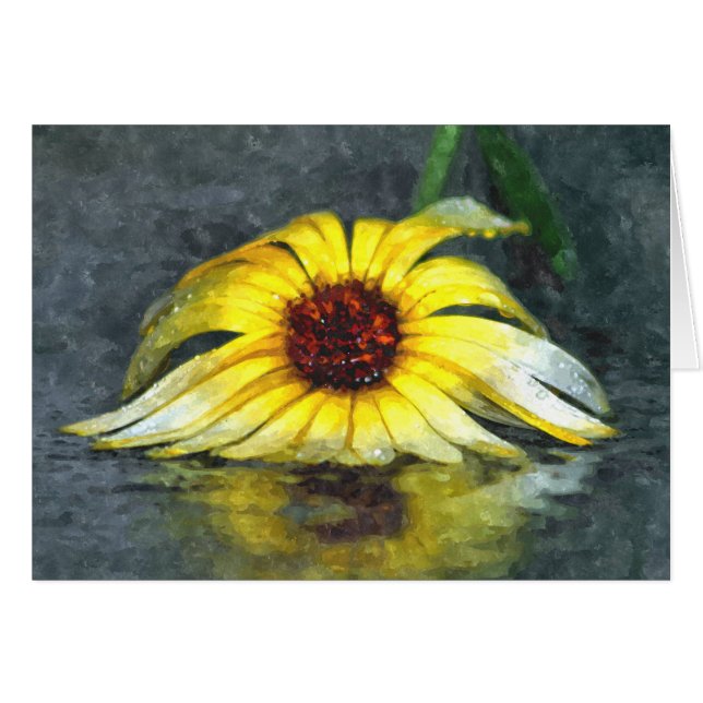 Daisy Amarillo En Lluvia (Anverso (Horizontal))