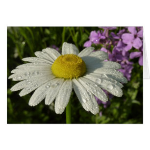 Daisy and Summer Lilac Wildflower