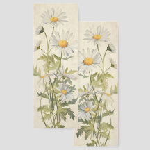 Daisy April Birth Month Flower de dos lados
