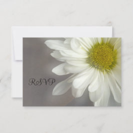 Daisy blanco suave sobre la boda gris RSVP