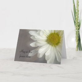 Daisy blanco suave sobre la tarjeta de invitación 