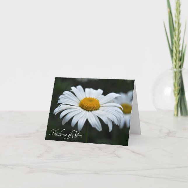 Daisy - Cara arriba (Anverso)