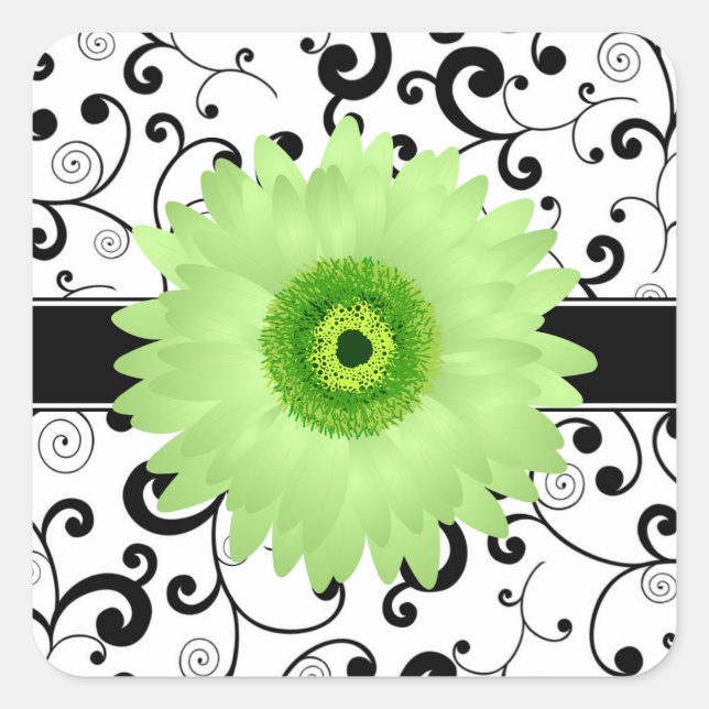 Daisy de Gerbera verde con sello de diseño de perg (Anverso)