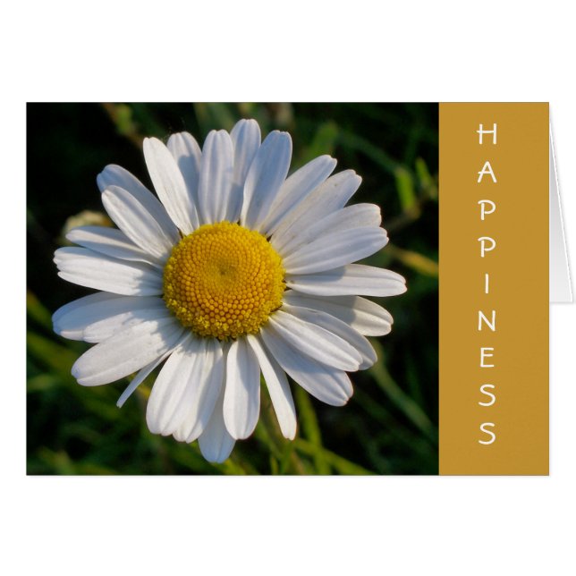DAISY FELICIDAD (Anverso (Horizontal))