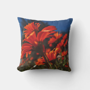Daisy Flowers Naranja Cojín decorativo Cushion Azu