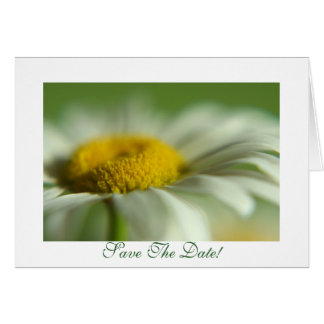 Daisy fresco