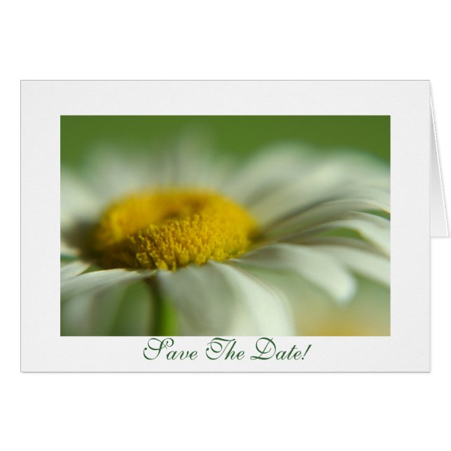 Daisy fresco (Anverso (Horizontal))