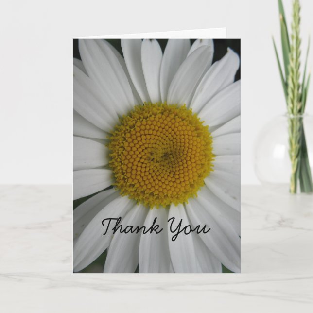 Daisy Gracias Tarjeta (Anverso)