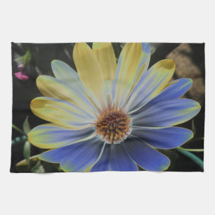 Daisy Lapis africano y toalla de cocina dorada