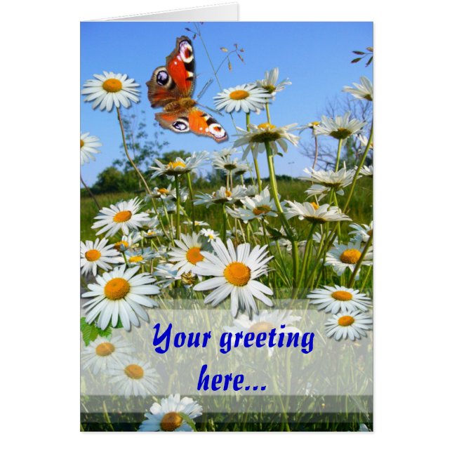 DAISY MEADOW ~ Card (Frente)