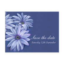 Daisy osteospermum boda ahorre la tarjeta de fecha