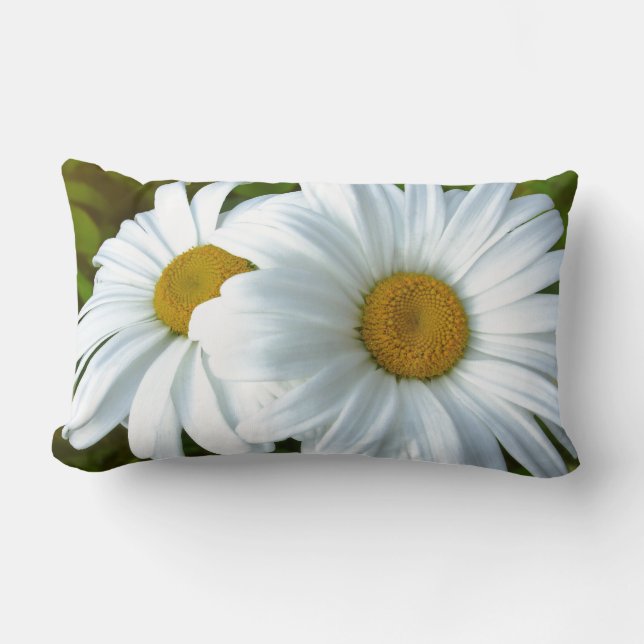Daisy Pillows Blue Daisies almohadas Decoración de (Anverso)