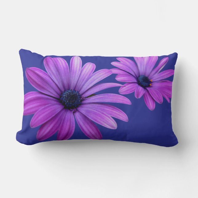 Daisy Pillows Blue Daisies almohadas Decoración de (Anverso)