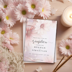 Daisy rosa de Rubor pálido de recepción