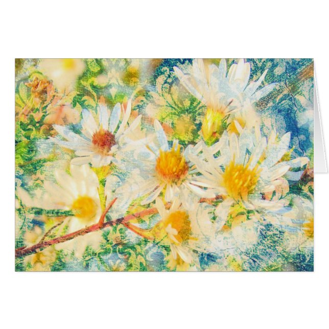 Daisy Wallpaper (Anverso (Horizontal))