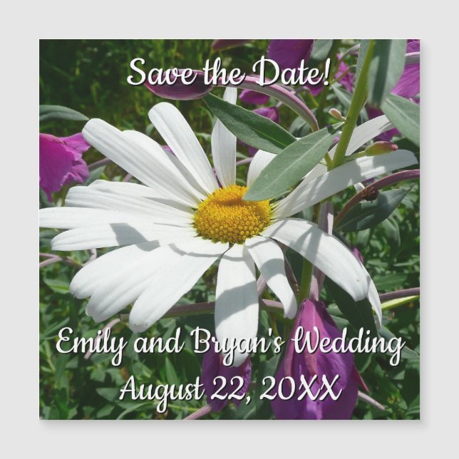 Daisy y Fireweed Wildflower (Anverso)