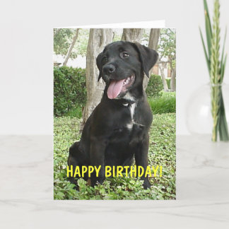 Dakota - Tarjeta de cumpleaños feliz