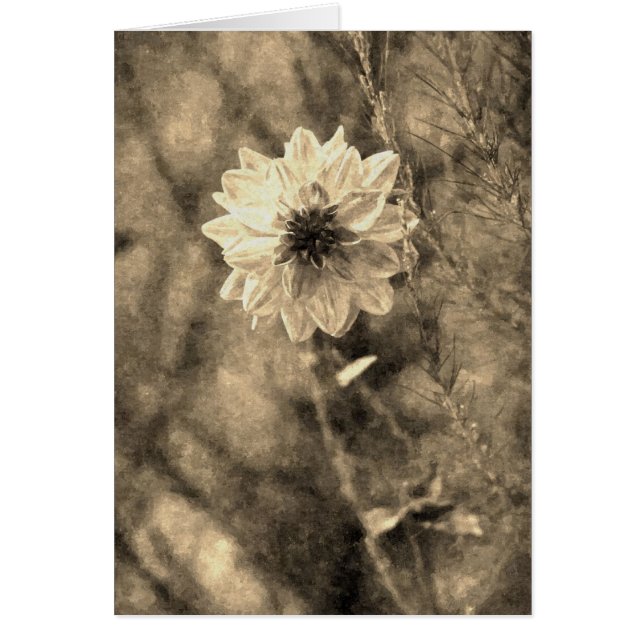 Dalia (Frente)