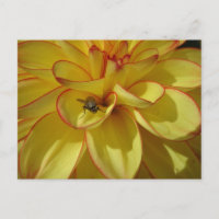 Dalia amarilla con tarjeta postal de bricolaje con