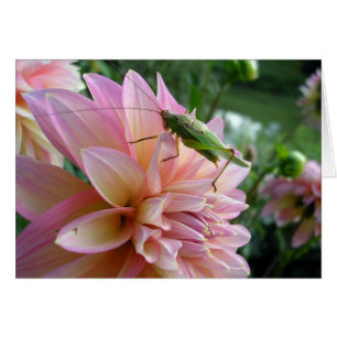 Dalia con Grillo
