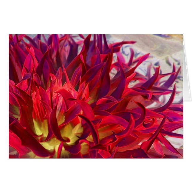 Dalia de Exterra (Anverso (Horizontal))