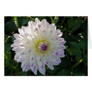 Dalia, Margaret Ellen