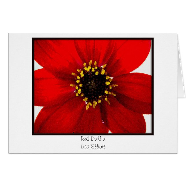 Dalia roja (Anverso (Horizontal))