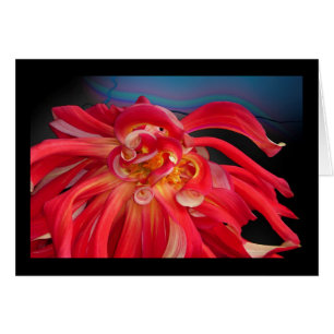 Dalia roja: www.GraceArtGroup.com