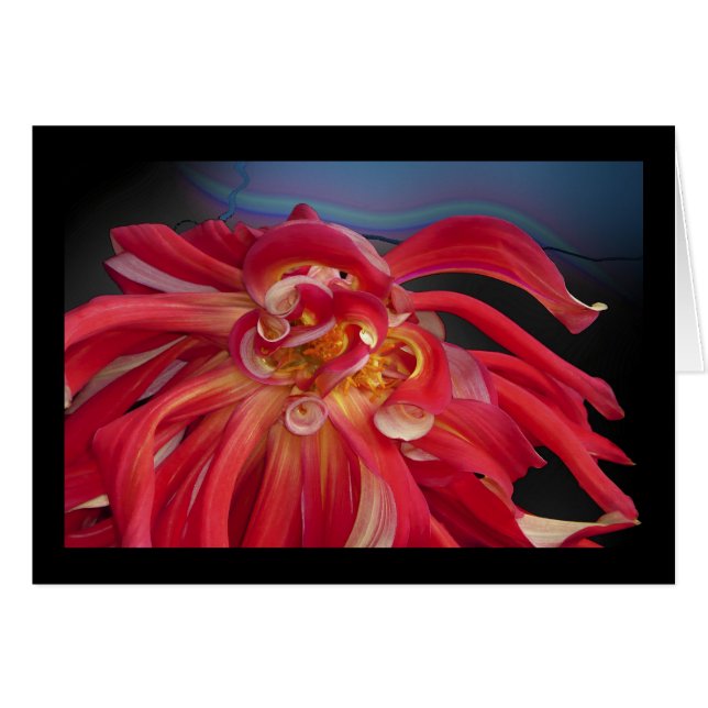 Dalia roja: www.GraceArtGroup.com (Anverso (Horizontal))