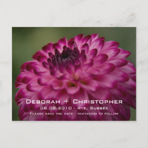 Dalia Rosa • Tarjeta Postal de Aviso de Fecha
