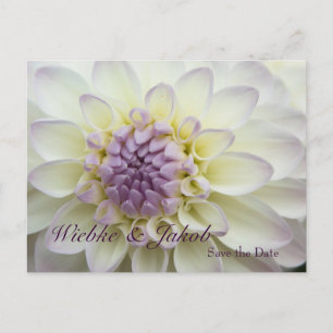 Dalia • Save the Date tarjeta postal