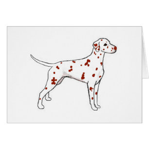 Dalmatian del hígado